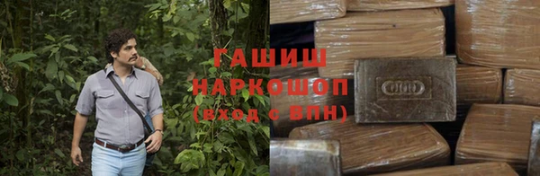 стафф Иннополис