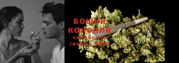 PSILOCYBIN Инта