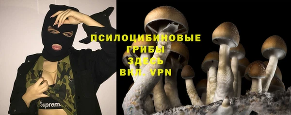PSILOCYBIN Инта