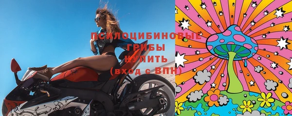 гидра Зеленодольск