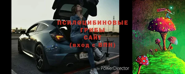 стафф Иннополис