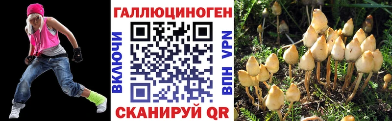 Псилоцибиновые грибы Cubensis  сколько стоит  Златоуст 